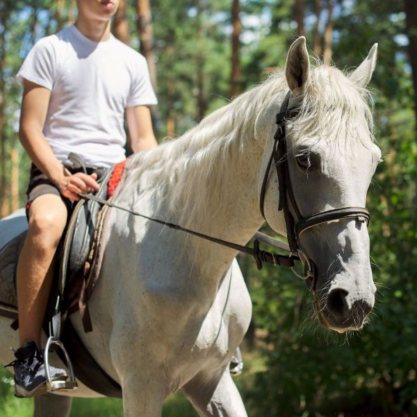horseback riding