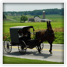 Horse Drawn Carriages