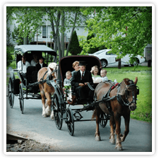 Fairwinds Farm and Stables Fairwinds Farm and Stables near Elk Forge Bed and Breakfast