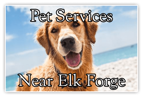 Pet Services